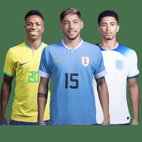 蓝白启航